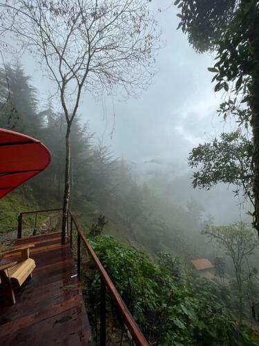 Finca Montmagica