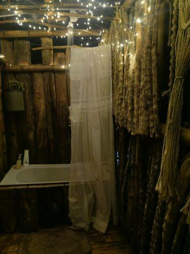 Hostal La Caba�a Del Nyctibius