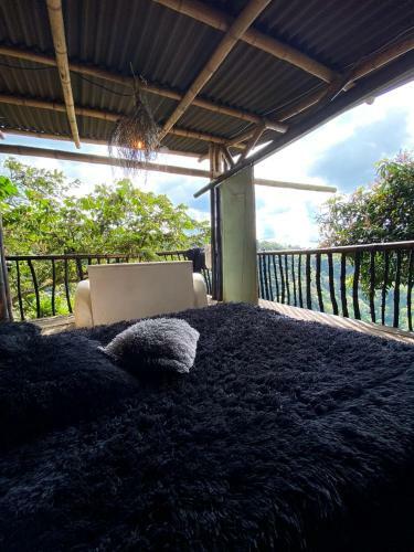 Hostal La Caba�a Del Nyctibius