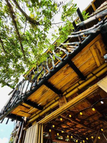 Hostal La Caba�a Del Nyctibius