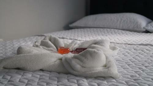 Hostal Magica Noche Filandia