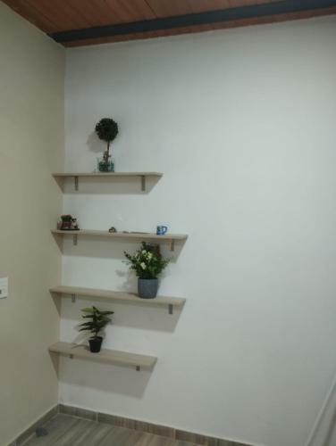 Casa Almendros 12-7