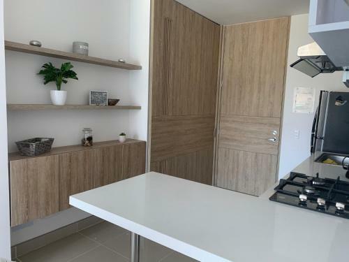 Apartamento Con Hermosa Vista