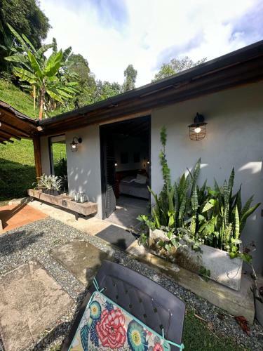 Loft Bambu