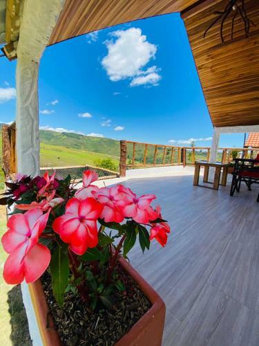 Caba�as El Paraiso Pescaderito