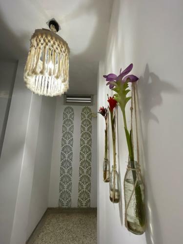 Hotel Balcon De Oro Curumani