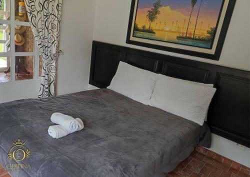 Caba�a Tota Paraiso Con Muelle