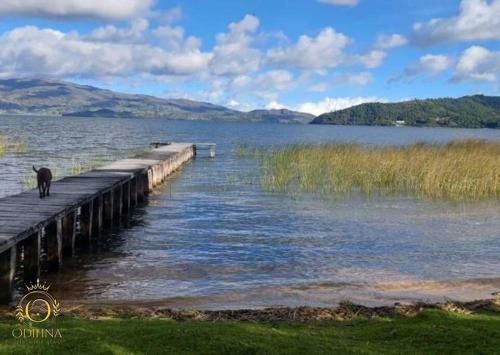 Caba�a Tota Paraiso Con Muelle