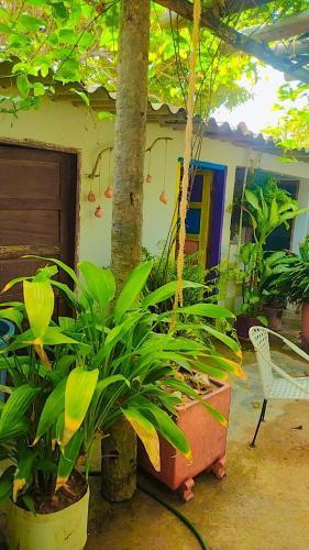 Casa De Playa En Dibulla
