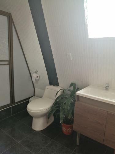 Hostal Chalet Los Pinos