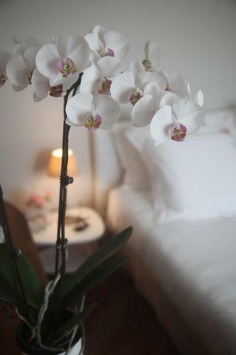 Bed & Breakfast La Maison De Maria