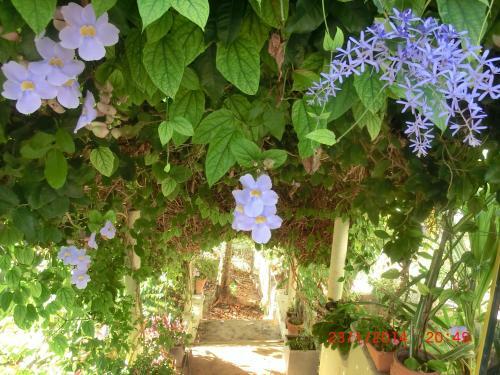 Hostal Chambres D�hotes La Romana