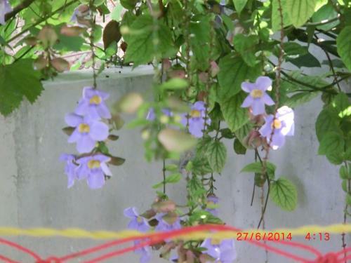 Hostal Chambres D�hotes La Romana