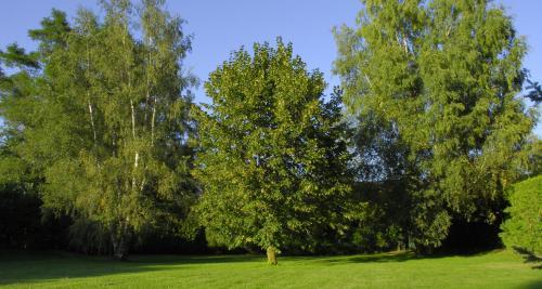 Hotel Celisol Cerdagne