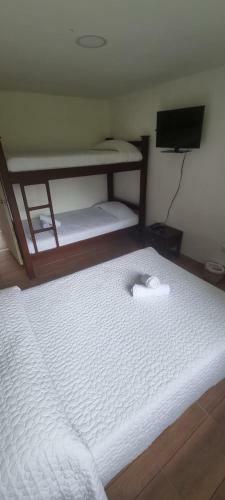 Hostal Mochileros Inn