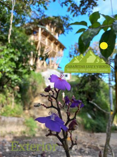 Bed & Breakfast Caba�a Luzmi Cocorn�