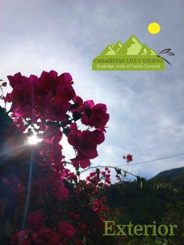 Bed & Breakfast Caba�a Luzmi Cocorn�