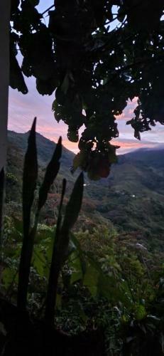 Hotel Reserva La Cascada