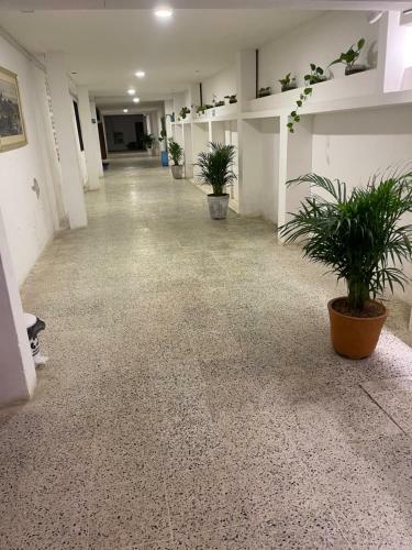 Hotel Palma Azul Beach