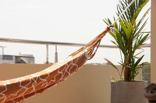 Hotel Caba�as Covemar De Lujo