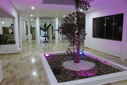 Apartamento Vaia Hoteles