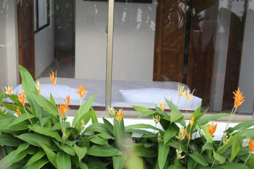Apartamento Vaia Hoteles