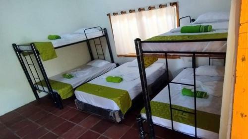 Eco Hotel Guarumal