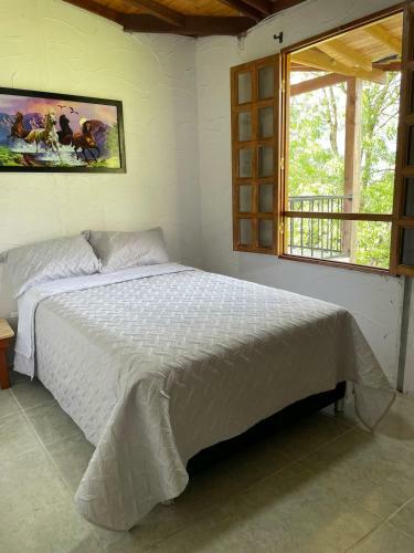 Hostal Xplora Hostel