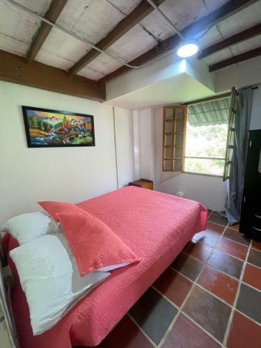 Hostal Xplora Hostel