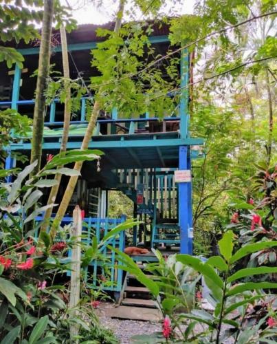 Hostal La Bohemia