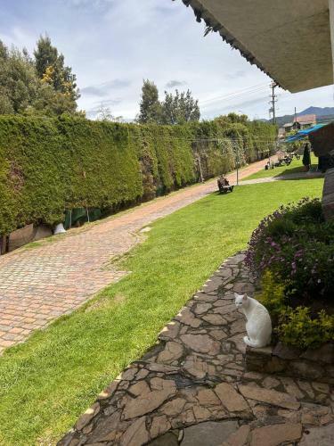 Gaia Volviendo A Casa
