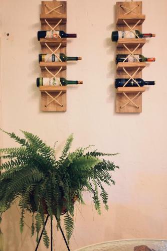 Hostal Arbol Cafe Caicedonia