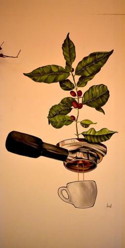 Hostal Arbol Cafe Caicedonia