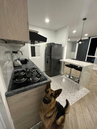 Apartamento Habitaci�n En Ch�a Con Ba�o Privado