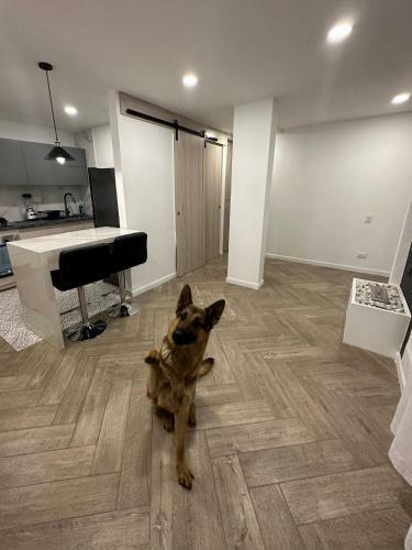 Apartamento Habitaci�n En Ch�a Con Ba�o Privado