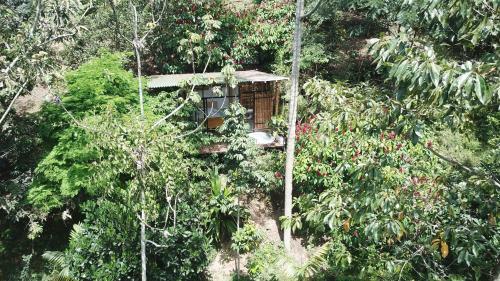 Ecohotel Alma