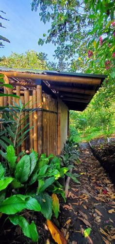 Ecohotel Alma