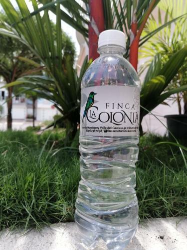 Finca La Colonia