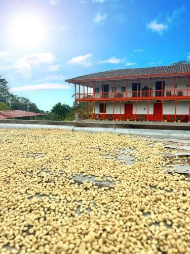 Albergue Finca Tradicional El Balc�n