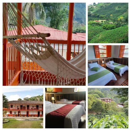 Albergue Finca Tradicional El Balc�n