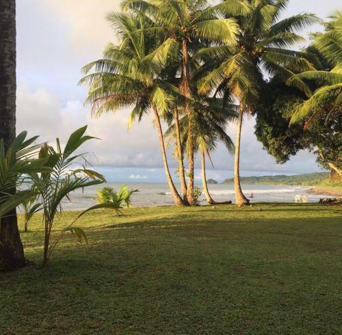 Bed & Breakfast Turqui Paradise