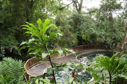 Bed & Breakfast Turqui Paradise