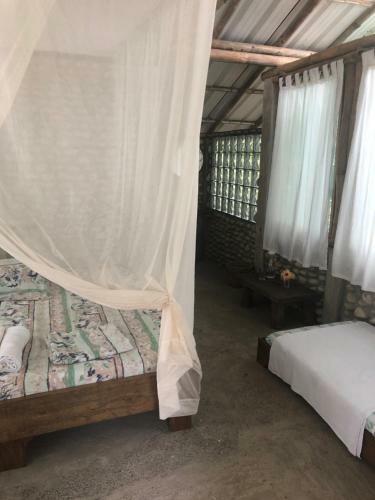 Bed & Breakfast Turqui Paradise