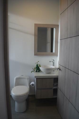 Lodge Studio Suite Campestre Con Jacuzzi