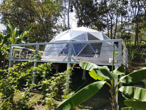 Glamping Eco Azulejo