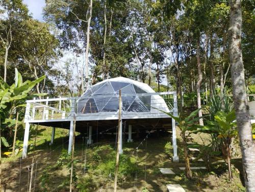 Glamping Eco Azulejo