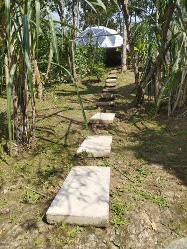 Glamping Eco Azulejo
