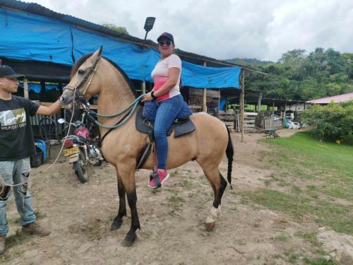 Glamping Eco Azulejo