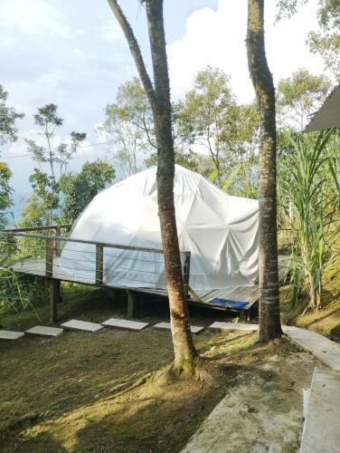 Glamping Eco Azulejo
