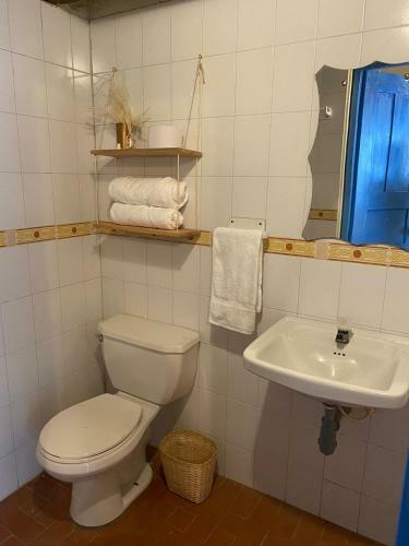 Flor De Le�n Caf� - Hostal